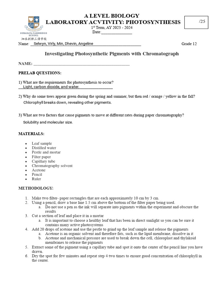 Kami Export LAB Chlorophyl Chromatography PDF Photosynthesis Chlorophyll