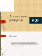 Anatomi Sistem Pernapasan