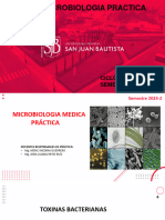 3 Practica de Microbiologia