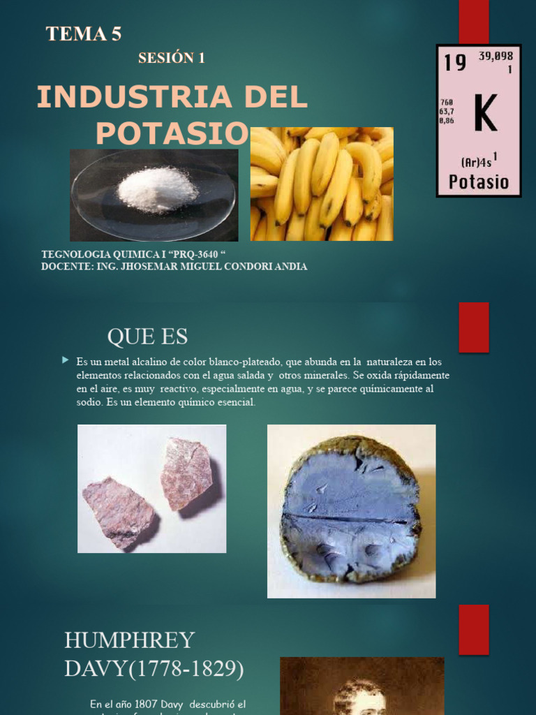 Tema 5. Industria Del Potasio | PDF | Dieta y nutrición | Química