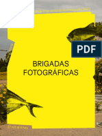 Fifv Convocatoria Brigadas