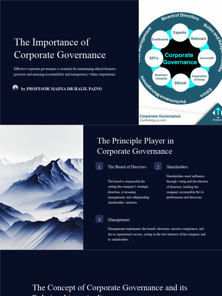 Corporate Governance Insights by Halil Paino | PDF | Corporate ...