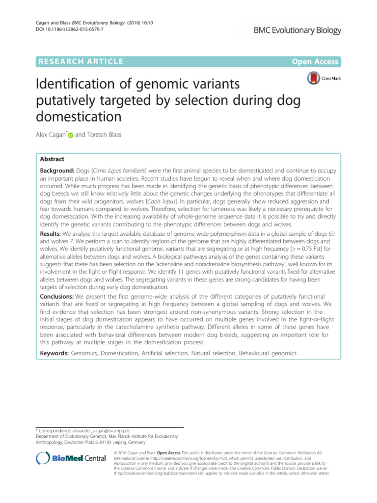 BMC16 Cagan Blass Identification of Genomic Variants Putatively