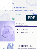 Temperate Bacteriophage