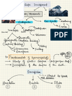 Geomorphology