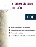 1 - Enfermeria Como Profesion