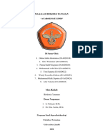 Makalah Biokimia Tanaman - Anabolisme Lipid - Kelompok 3