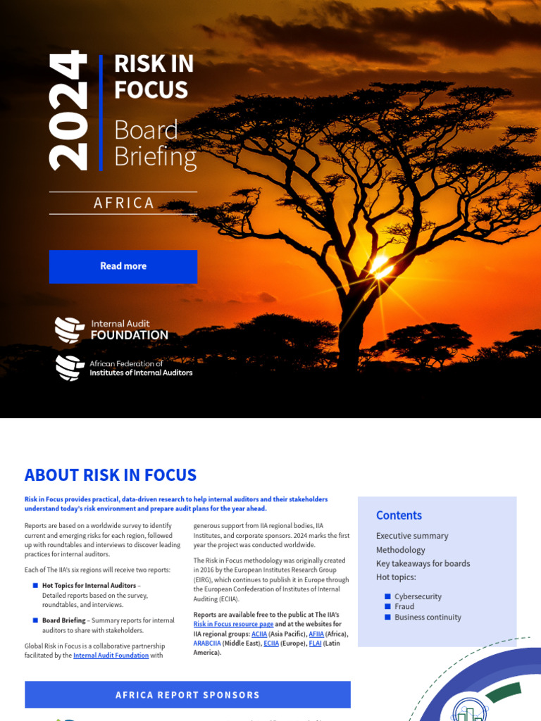 Africa Risk in Focus 2024 Insights | PDF | Internal Audit | Audit