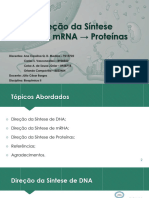 DireçãoSínteseDNA RNA Proteínas