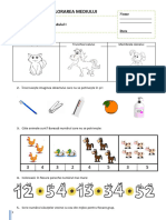 Mem Evaluare Sumativa Modulul I