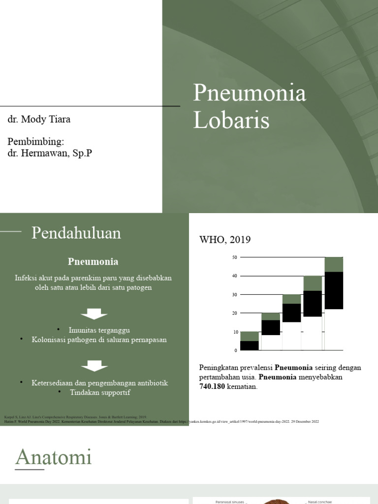 Lobar Pneumonia Overview and Management | PDF | Pneumonia | Epidemiology