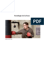 Dossier Boxe