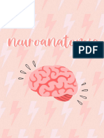Resúmenes Neuroanatomía