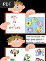 João-e-os-5-sentidos
