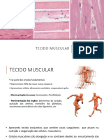 Aula 8 Tecido Muscular