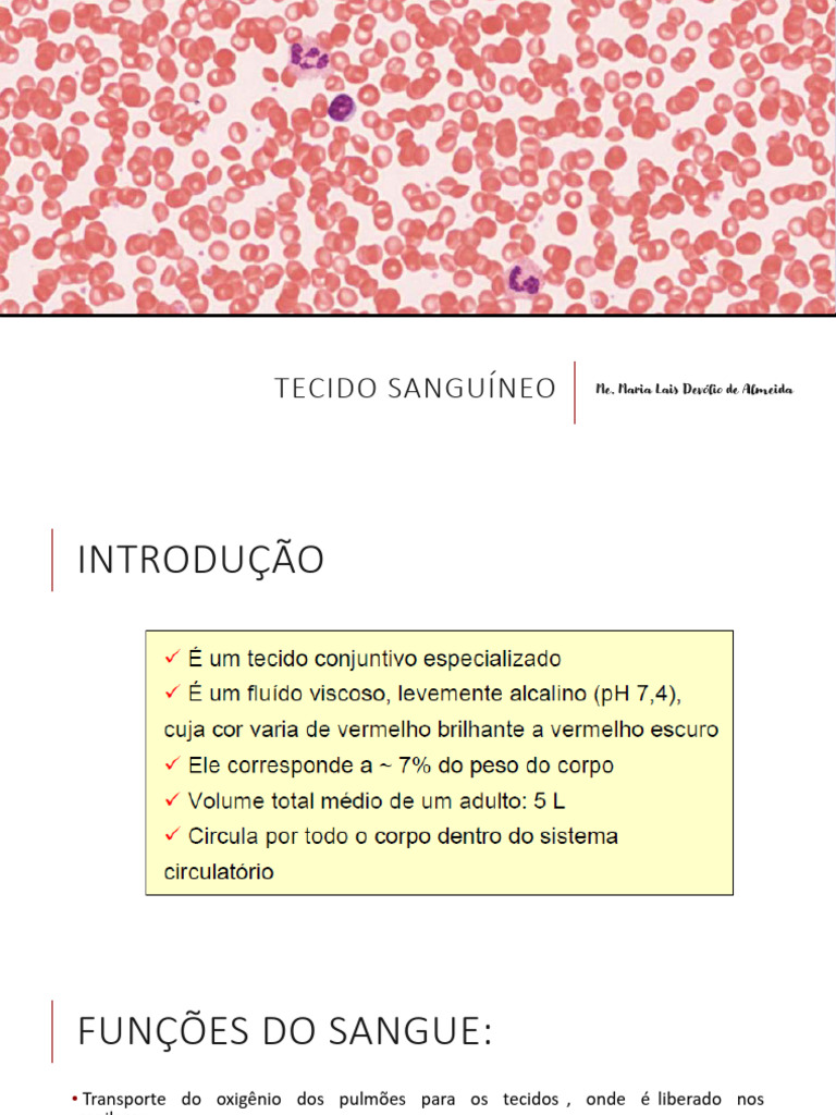 Funções e Composição do Tecido Sanguíneo | PDF | Sangue | Hemácia