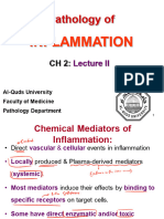 CH 2 - Inflammation II
