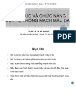 Cấu Trúc Và Chức Năng Mạch Máu Da -Y3