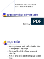 Sự Hình Thành Hệ Tiết Niệu 2021