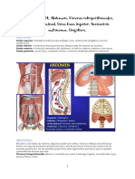 1.esplacnología Tema 1 Abdomen