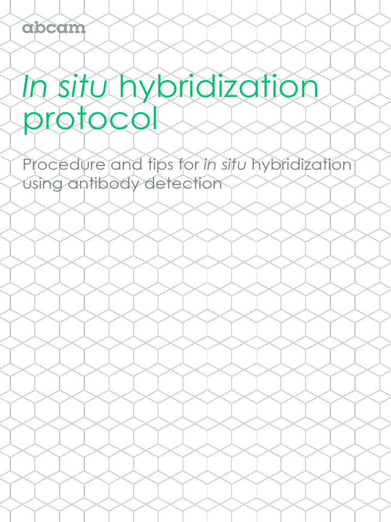 In Situ Hybridization PDF In Situ Hybridization Sense (Molecular