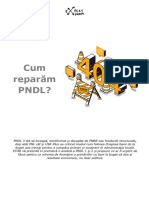 PB 120 implementarePNDL