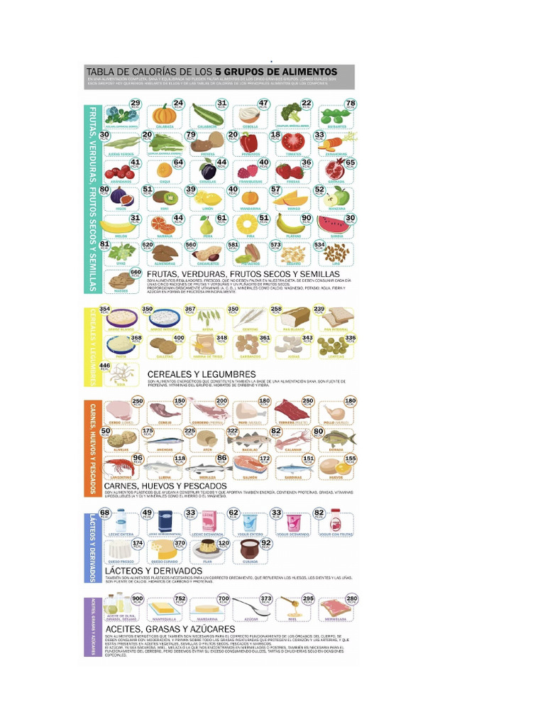 Infografia Classificacion de Los Alimentos | PDF