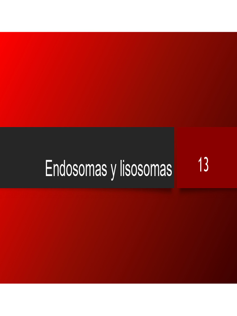 Estructura y Función de Lisosomas y Endosomas | PDF | Lisosoma | Anatomía