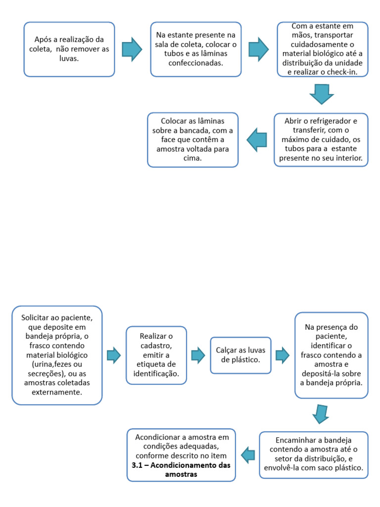 Fluxograma De Transporte