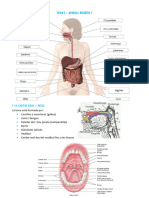 Tema 8 - Aparell Digestiu Part II - Anatomia