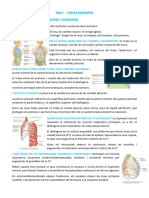 Tema 7 Sistema Respiratorio Anatomia Impreso