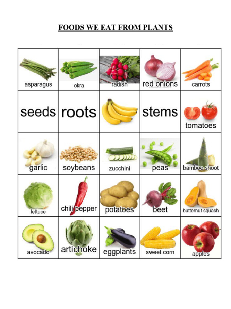 Foods We Eat From Plants | PDF