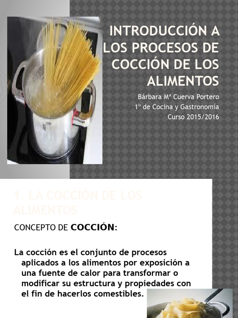 Introduccion Procesos de Coccion | PDF | Cocinando | Estufa de cocina