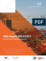 GEM Angola 2022-2023 Report
