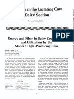 Lfurbot,+Journal+Manager,+Aabp 1973 Proceedings 021 EnergyAndFiberInDairyCowRations
