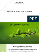 1 TCVUJ - Horti - Anatomie Et Morphologie Du Végétal