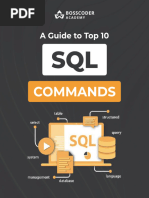 10 SQL Commands