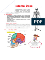 Sistema Óseo