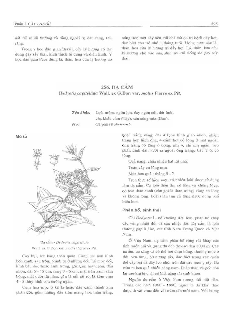 1000 Cay Thuoc Va Dong Vat Lam Thuoc o VN - Tap 2 | PDF