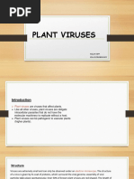 Plant Viruses 1st Sem 2023