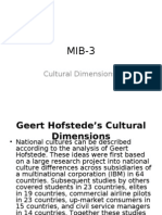 MIB 3 Cultural Dimensions