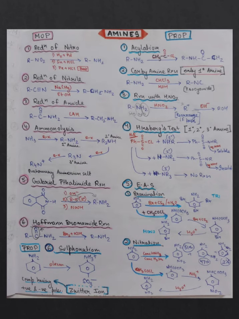 Amine short notes pdf
