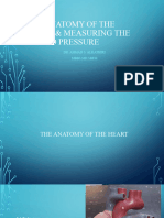 Anatomy of The Heart and BP New