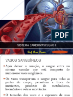 Prof. Rosi Paixão: Sistema Cardiovascular Ii