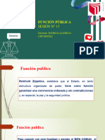 Sesion - 15 - La Funcion Publica PL