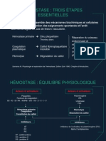 Hemostase