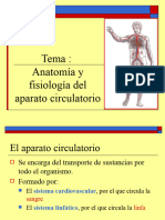 Tema 8 Sistema Circulatorio (Corazon)