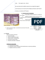 1.evaluación Biologia 5to.2021 PDF