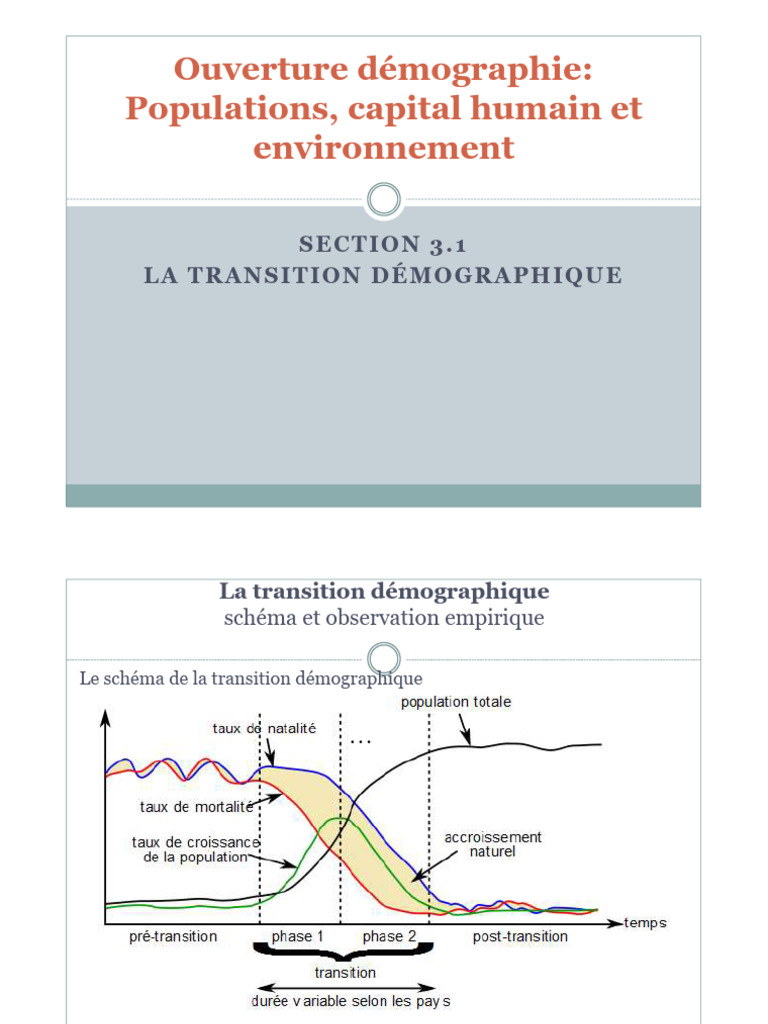 Schéma de la Transition Démographique | PDF | Démographie | Sciences ...