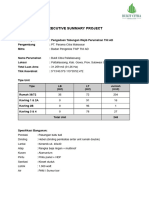 Executive Summary Project